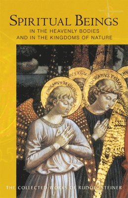Rudolf Steiner, Christopher Bamford, Marsha Post - Spiritual Beings in the Heavenly Bodies and in the Kingdoms of Nature, Häftad