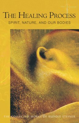 Rudolf Steiner - Healing Process, Häftad
