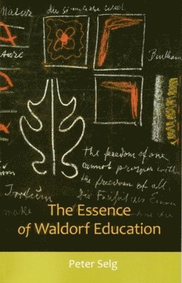 Peter Selg - Essence of Waldorf Education, Häftad