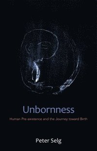 bokomslag Unbornness