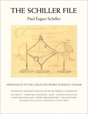 bokomslag The Schiller File: Supplements to the Collected Works of Rudolf Steiner