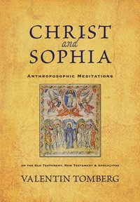 bokomslag Christ and Sophia