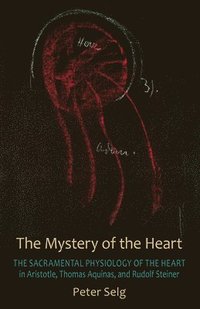 bokomslag The Mystery of the Heart