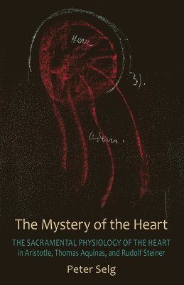 The Mystery of the Heart 1