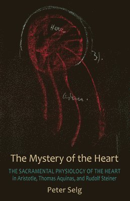 Peter Selg - Mystery of the Heart, Häftad