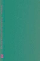 bokomslag Language and National Identity - Rusyns South of Carpathians