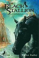 bokomslag The Black Stallion