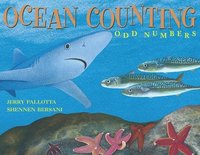 bokomslag Ocean Counting