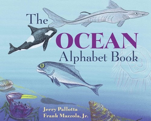 Ocean Alphabet Book 1