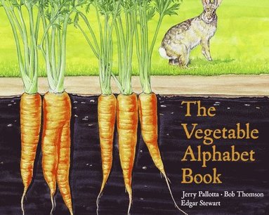 bokomslag The Vegetable Alphabet Book