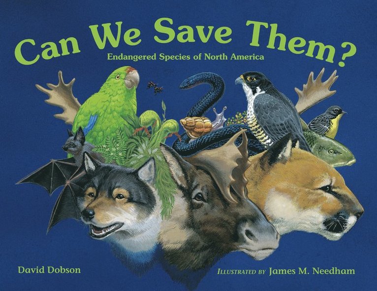 David Dobson - Can We Save Them?, Häftad