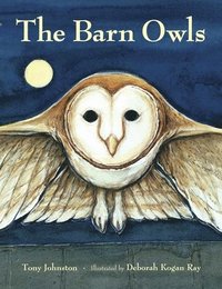 bokomslag The Barn Owls