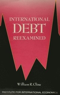 bokomslag International Debt Reexamined