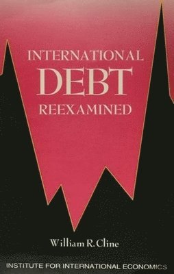 bokomslag International Debt Reexamined
