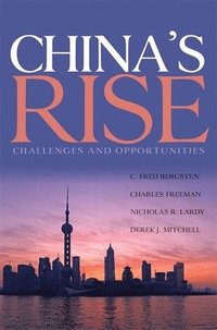bokomslag China's Rise - Challenges and Opportunities