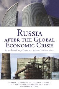 bokomslag Russia After the Global Economic Crisis