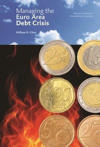 bokomslag Managing the Euro Area Debt Crisis