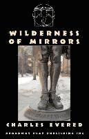 bokomslag Wilderness Of Mirrors