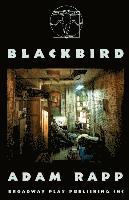 Adam Rapp - Blackbird, Häftad