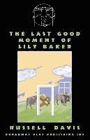 bokomslag The Last Good Moment Of Lily Baker