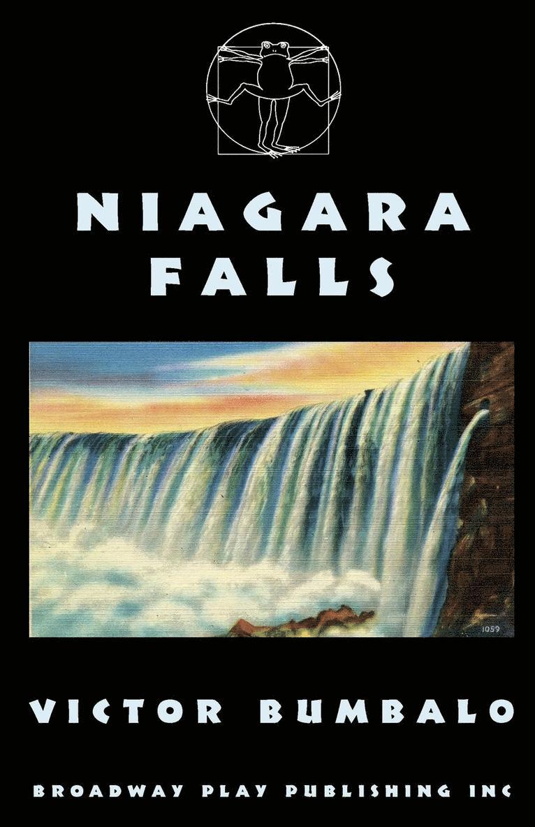 Niagara Falls 1