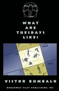 bokomslag What Are Tuesdays Like?