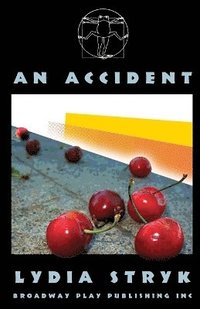 bokomslag An Accident