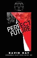 David Hay - Perfect Future, Häftad