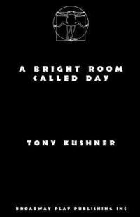 bokomslag A Bright Room Called Day