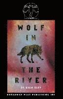 Adam Rapp - Wolf In The River, Häftad