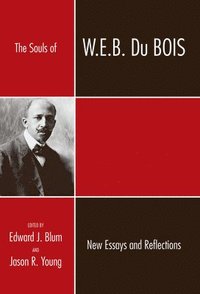 bokomslag The Souls of W.E.B. Du Bois