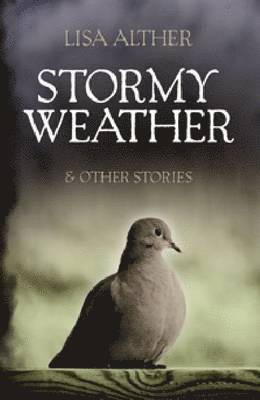 Stormy Weather & Other Stories 1
