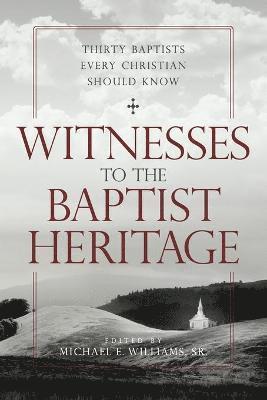 bokomslag Witnesses to the Baptist Heritage