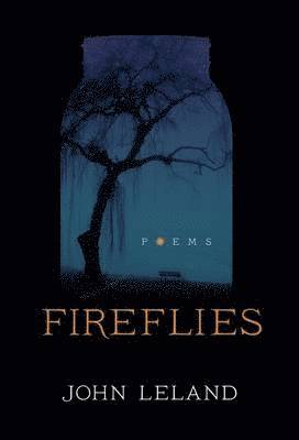 Fireflies 1