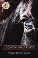 bokomslag Lightningstruck