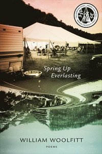 bokomslag Spring Up Everlasting