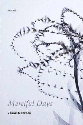 Merciful Days 1