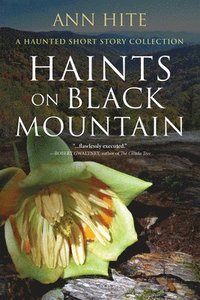 bokomslag Haints on Black Mountain: A Haunted Short Story Collection