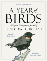 bokomslag A Year of Birds