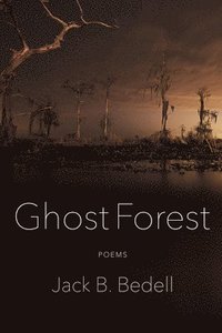 bokomslag Ghost Forest