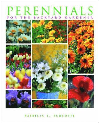 Perennials for the Backyard Gardener 1