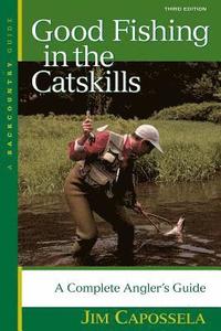 bokomslag Good Fishing in the Catskills