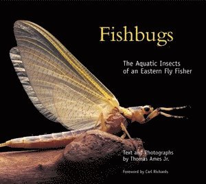 bokomslag Fishbugs