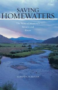 bokomslag Saving Homewaters