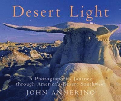 Desert Light 1