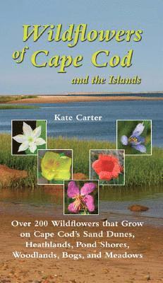 Kate Carter - Wildflowers of Cape Cod & the Islands, Häftad