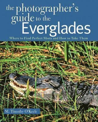 The Photographer's Guide to the Everglades 1