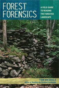 bokomslag Forest Forensics