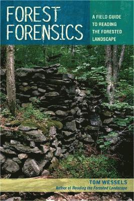 Forest Forensics 1