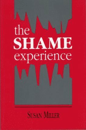 bokomslag Shame Experience